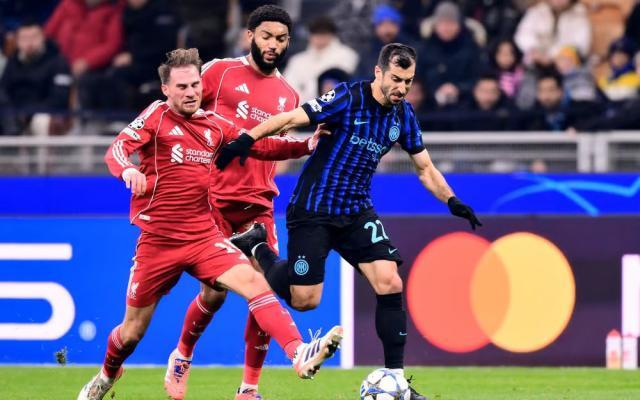 1765357343515061076.jpg 5.jpg